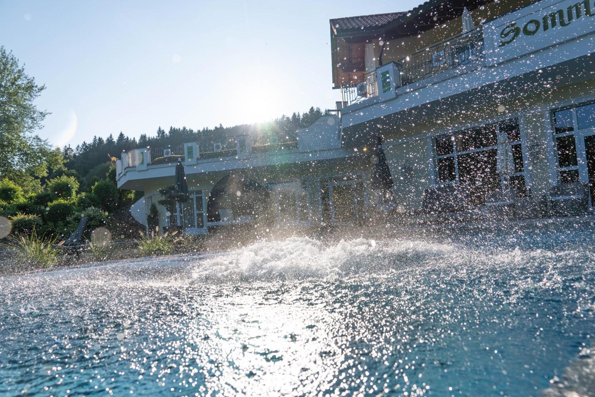 Aktiv- Und Wohlfuehlhotel Hammerhof Bodenmais Dış mekan fotoğraf