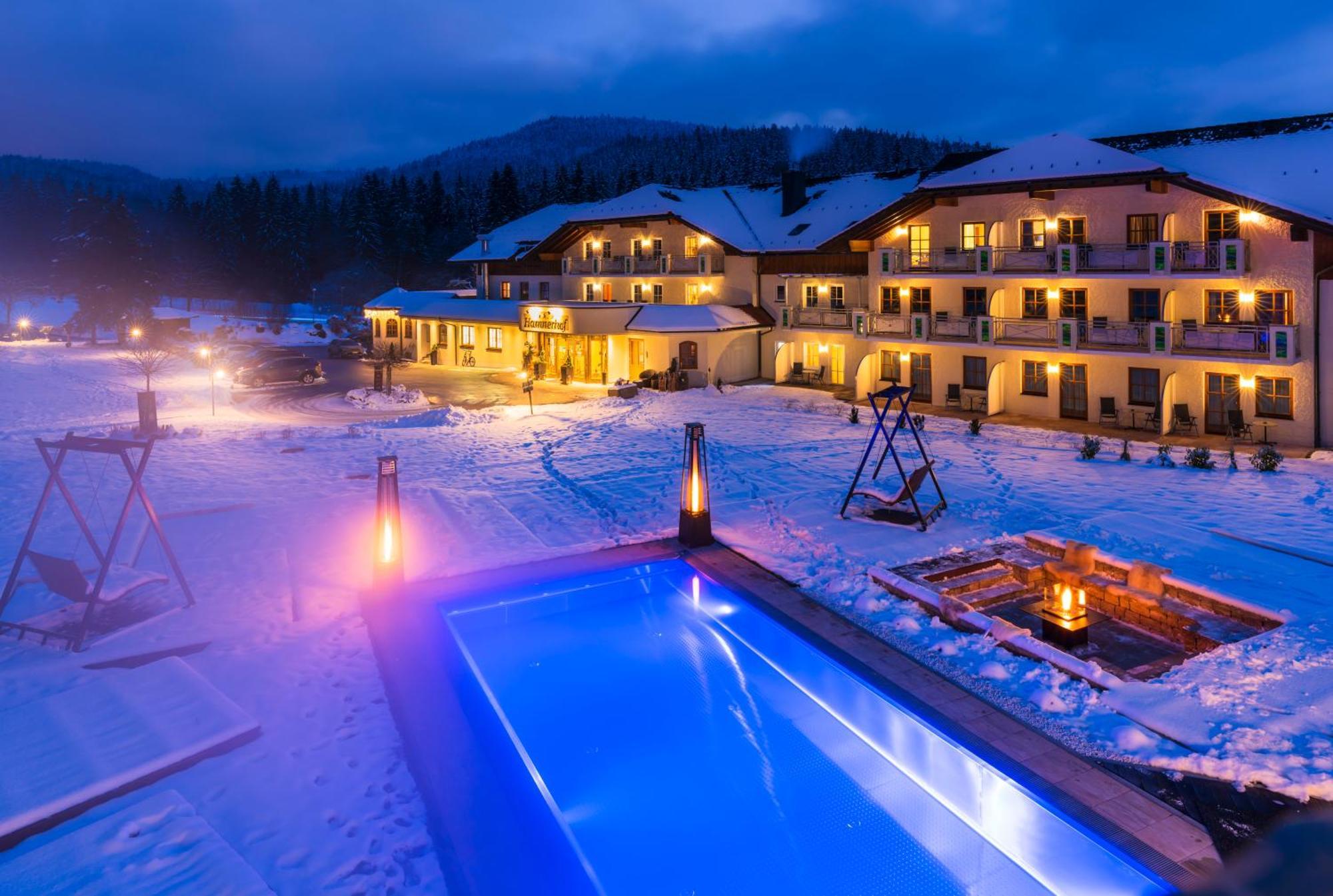 Aktiv- Und Wohlfuehlhotel Hammerhof Bodenmais Dış mekan fotoğraf